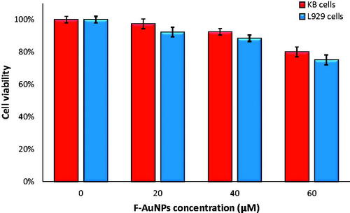 Figure 5. The viability of KB and L929 cells incubated with different concentrations of F-AuNPs for 6 h.