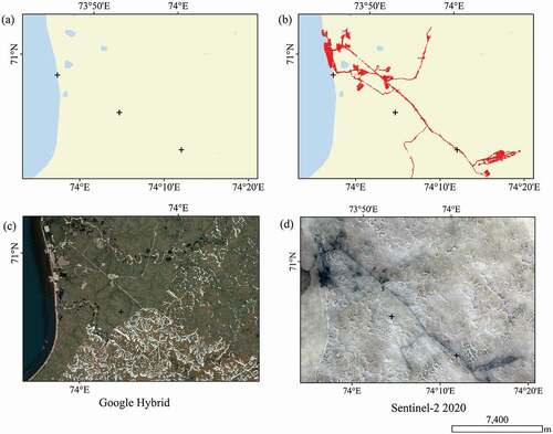 Figure 12. Example of classification results of human-impacted areas in comparison to OpenStreetMap and the Google Earth online hybrid map in Yamal, Russia: (a) OpenStreetMap (blue-waterbodies, grey-roads); (b) classification results based on this study; (c) Google Earth online hybrid map; (d) Sentinel-2 red-green-blue (band 4-3-2) composition in 2020. Projection WGS_1984_EPSG_Russia_Polar_Stereographic.