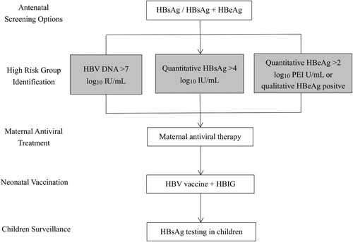 Figure 4. Proposed protocol for the management of pregnant women chronically infected with HBV and their babies.