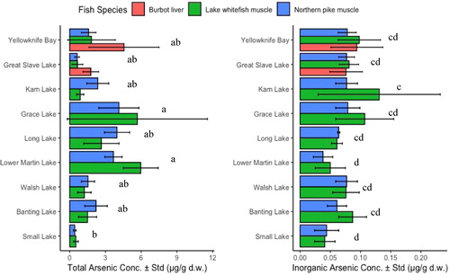 Figure 2. Total arsenic and inorganic arsenic concentrations in fish tissue from lakes around Yellowknife. Mean arsenic concentrations in fish from each lake labeled with the same lowercase letters (a, b, c, d) do not differ significantly (two-way ANOVA, post-hoc Tukey’s; p > 0.05).