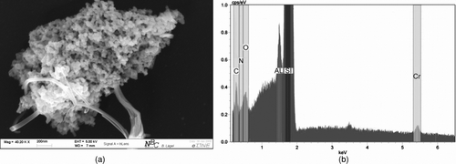 FIG. 13 EDX mapping of Paliogen Red. (a) SEM picture of generated and analyzed Paliogen Red particle agglomerate. (b) EDX Element distribution from Paliogen Red.