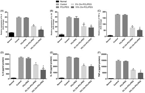 Figure 9. Anti-inflammatory effect of PCL/PEG and Chr-loaded PCL/PEG nanofibers evaluated on J774A1 cells stimulated with LPS. Histograms show the mean values of mRNA levels of (A) IL-6, (B) IL-1β and (C) TNF-α and the amount of (D) IL-6, (E) IL-1β (F) TNF-α after ELISA evaluation. (*p ≤ .05 vs. PCL/PEG and control groups; #p ≤ 0.05 vs. 5% (w/w) Chr-PCL/PEG nanofibers). Results are mean ± SD (n = 3).
