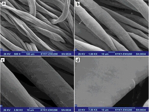 Figure 1. SEM images of untreated cotton: (a) 500X, (b) 1kX, (c) 2.50kX and (d) 7.50kX.