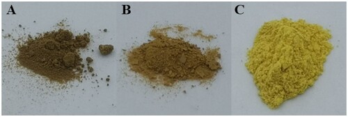 Figure 2. Crude baicalein and purified baicalein by macroporous resins. (A) Crude baicalein; (B) baicalein purified by DM130 macroporous resin; (C) baicalein purified by DM130 and D101 macroporous resins.