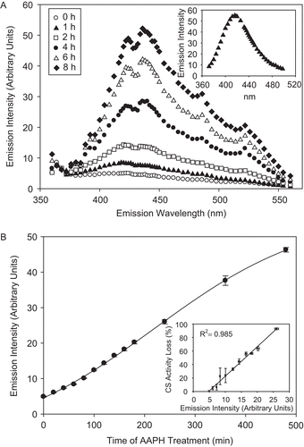 Figure 5.  CS exposure to AAPH leads to dityrosine (diTyr) formation. CS (12 μM) was incubated with 40 mM AAPH, and aliquots were removed and fluorescent emission intensity was measured using excitation wavelength of 325 nm, as described in “Materials and methods.” (A) diTyr spectra of AAPH-treated CS over time. (Inset) The emission intensity of 1 mM Tyr treated with 40 mM AAPH for 2 h at 37°C and excited at 325 nm. (B) Increase in emission intensity at 420 nm, indicative of diTyr formation. (Inset) The correlation between diTyr formation (as measured by emission intensity) and CS activity loss. Means of three independent experiments ± SEM are shown.