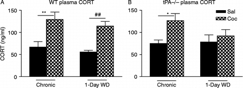 Figure 4.  Plasma CORT levels in WT (A) and tPA-deficient (tPA − / − ) mice (B) were examined 30 min after 14 days of chronic “binge” pattern cocaine administration (Chronic Coc) and 1 day after 14 days of Chronic Coc (1-day WD). Data in the graph are presented as mean ± SEM. (A) In WT mice, significant differences are indicated: **p < 0.01 between chronic cocaine (Chronic Coc) vs. saline (Chronic Sal); ##p < 0.01 between 1-day acute WD (1-day WD) from cocaine vs. saline control (n = 5–8/group). (B) In tPA − / − mice, significant differences are indicated: *p < 0.05 between chronic cocaine (Chronic Coc) vs. saline (Chronic Sal).