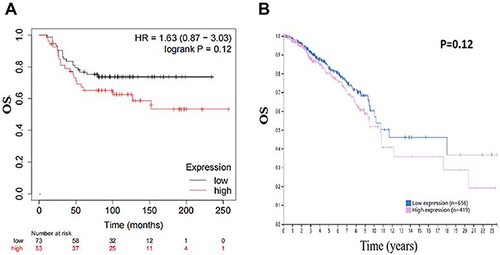 Figure 3 The prognostic role of HuR by using data from the HPA and KMP datasets. (A) Kaplan–Meier curves from the KMP dataset.Citation24 (B) Kaplan–Meier curves from the HPA dataset (data from The Human Protein Atlas; Creative Commons).