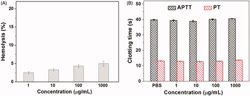 Figure 7. The hemolysis (A) and clotting analysis (B) of Tf-HPAA-MTX/pMMP-9 (n = 3).