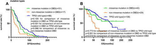 Figure 5 Survival analyses by Kaplan–Meier according to TP53 mutation type in the DNA binding domain. (A and B) Patients with non-missense mutations in the DNA binding domain had a significantly shorter median DFS and OS than TP53 wild-type patients and those with missense mutations in the DNA binding domain.