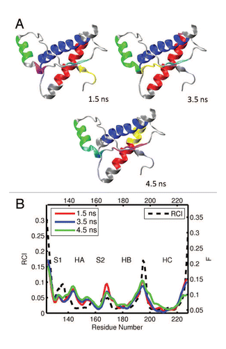 Figure 4 (A) Dynamical domains for bovine prion protein (bPrP) identified from a MD trajectory at times indicated by the subscripts. The meaning of colors is as in Figure 3. (B) flexibility profiles identified at times indicated in the legend box, over-imposed on the experimental RCI profile from 2(b), which is shown by the dashed curve. More examples for dynamical domains and flexibility profiles in bovine prion protein are given in Figures S3 and S4, respectively.
