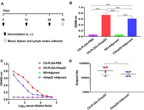 Figure 5 Humoral immune responses in BALB/c mice one week after the last immunization.