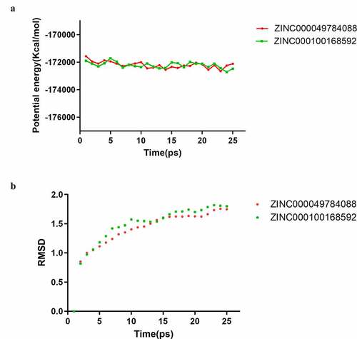 Figure 5. Results of molecular dynamics simulation of the compounds ZINC000100168592 and ZINC000049784088. (a) Potential energy, Average backbone root-mean-square deviation. (b) RMSD, root-mean-square deviation
