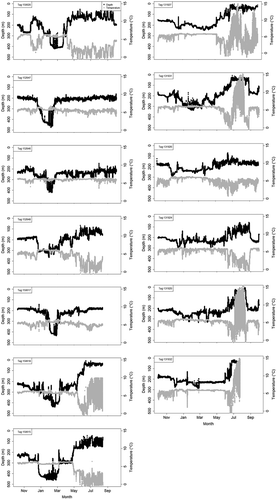 FIGURE 4. Archived depth and temperature profiles from 13 PSATs deployed on Atlantic Halibut in the Gulf of St. Lawrence and preprogrammed for 10 months in the 2015 tagging study (n = 4; tags 152848, 150617, 150618, 150615) and for 12 months in the 2013 (n = 5; tags 131927, 131931, 131926, 131924, 131920) and 2015 (n = 3; tags 150620, 152847, 152846) tagging studies. One tag was physically retrieved after 10 months in the 2013 tagging study (tag 131932).