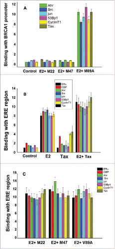 Figure 4. Effect of Tax on the ERα complex binding to ERE and BRCA1 promoter. MCF-7 cells which were or not transfected with 1.5 μg of Tax variants [w.t.Tax, TaxM22, TaxM47 or Tax(V89A)] as indicated in the figure. The cells were treated with E2 at 5 hr before their extraction for examining the binding of the appropriate proteins to BRCA1 promoter (A) or ERE region (B and C) by CHIP assay as described in Materials and Methods section. Control cells were not transfected with Tax and not treated with E2. The presented results are an average of 3 repeated experiments ± SE.