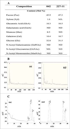 Figure 2. Glycosyl composition of CA in EAEC strains. EPS was isolated from EAEC 042 and 227-11 strains and glycosyl composition analysis was performed by combined gas chromatography/mass spectrometry (Panel A). HPAEC profile on CarboPac PA200 columns indicated that there may not be neutral oligomers that are comparable to standard malto- and xylo-oligomers (Panel B). The samples were also analyzed by size-exclusion chromatography (SEC) profile (Panel C).