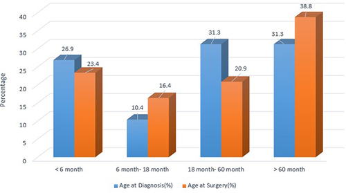 Figure 1 Age at diagnosis and surgery of children who underwent thoracotomy.