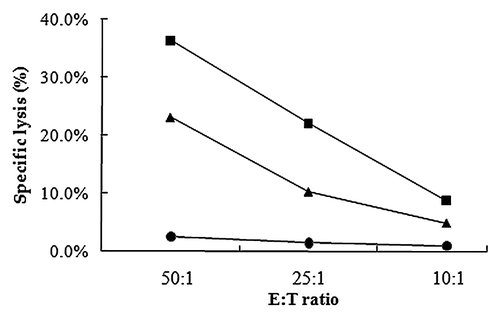 Figure 3.HBsAg specific cytolytic activities of splenocyts from mice immunized with one dose of PLA microsphere vaccine. Splenocytes isolated from mice immunized with different formulations were co-cultured with target cells P815 which were labeled with 51Cr for 6 h. Specific lysis was measured with different E:T ratio. Line with squares: PLA microsphere vaccine; triangles: aqueous HBsAg; dots: PLA microsphere.