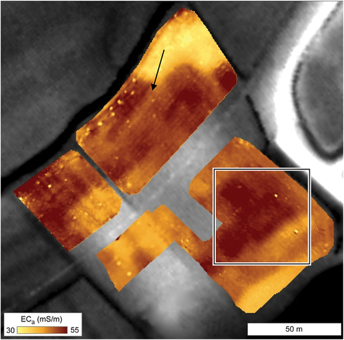 Figure 5. An apparent conductivity dataset from an EMI survey, showing bastions/ramparts (high conductivity, example indicated by the bounding box) and ditches (lower conductivity, example indicated by the black arrow) associated with a 17th-century Spanish fortification in Belgium (Poulain and De Clercq Citation2015, 634).