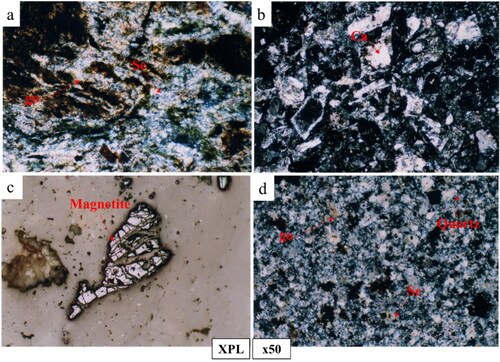 Figure 9. Microscopic images of the rock samples; (a) sericite and malachite sheet crystals with goethite, (b) calcified feldspar indicating the effect of calcium ion-rich hydrothermal solutions with micro-epidote and chlorite crystals, (c) broken magnetite mineralization with a cataclastic form, and (d) phyllic alteration showing fine-grained quartz crystals with fine sericite and goethite (in XPL light and ×50 magnification).