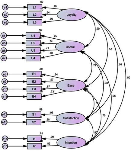 Figure 3 Measurement model composed of five latent variables tested through conﬁrmatory factor analysis. All the correlations were statistically signiﬁcant.