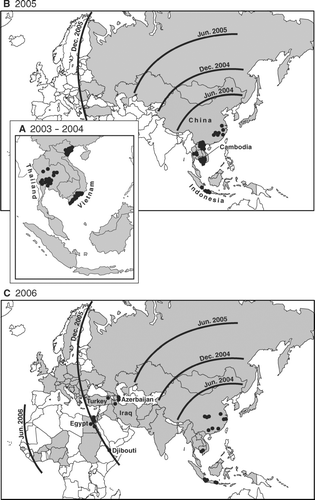 Figure 7 Geographical distribution of human cases of avian influenza A (H5N1) confirmed by the World Health Organization, December 2003–May 2006. Circles show the distribution of the 216 human cases reported to 18 May 2006. (A) December 2003–December 2004; (B) January-December 2005; (C) January–May 2006. Countries in which avian influenza A (H5N1) had been confirmed in wild birds, poultry, or both by the end of each time period are shaded. Isochrones are replotted from Figure 1 and show the approximate position of the panzootic wave front at six-month intervals.