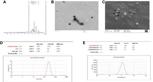 Figure 1 (A) H1-NMR confirming the trimethylated chitosan as the end product. 1H-NMR spectrum of chitosan quaternary salt (TMC) dissolved in D2O. (B) Transmission electron microscopic image of the TMC nanoparticles. (C) Scanning electron microscopic image of TMC nanoparticles. (D) Dynamic Light Scattering size measurement of the TMC nanoparticles. (E) Zeta potential of the TMC nanoparticles.