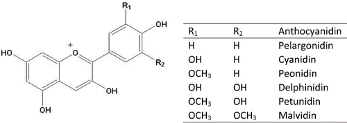Figure 1. Structure of the anthocyanidins most commonly found in foods.