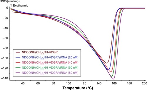 Figure 9 The DSC curves of NDCONH(CH2)2NH-VDGR and different concentrations of NDCONH(CH2)2NH-VDGR/survivin-siRNA.Abbreviations: DSC, differential scanning calorimetry; siRNA, small interfering RNA.