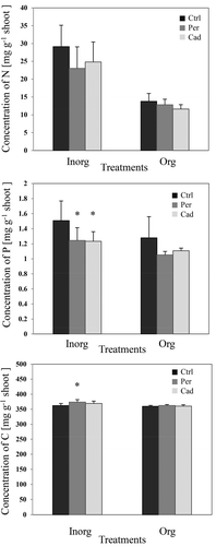 Figure 3. Impact of DSEs on the concentrations of nitrogen (N), phosphorus (P) and carbon (C) (first pot experiment). Tomato plants were non-inoculated (Ctrl), inoculated with Periconia macrospinosa (Per), or inoculated with Cadophora sp. (Cad) and grown in organically fertilised (Org) or inorganically fertilised (Inorg) soils. Concentrations of elements were measured. The Kruskal–Wallis test (P = 0.05, n = 11–12 for ‘Inorg’, 3–5 for ‘Org’) showed an impact of the factor ‘fertilisation’ on the concentrations of both elements in plant shoots. Two-way ANOVA (P = 0.05, n = 11–12 for ‘Inorg’, 3–5 for ‘Org’) showed an impact of the factor ‘inoculation’ on the concentration of P. Significant differences between inoculated and non-inoculated plants are indicated by asterisks (Tukey’s test; P = 0.05, n = 11–12 for ‘Inorg’, 3–5 for ‘Org’).