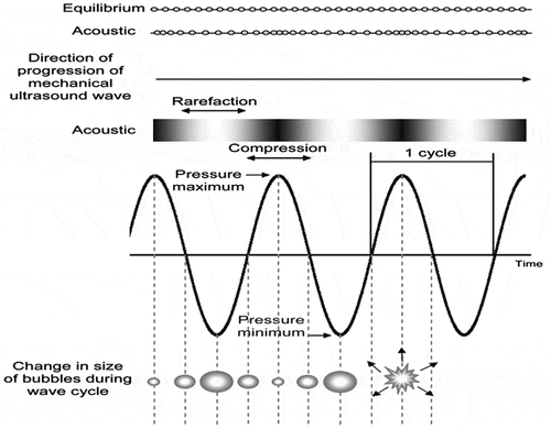 Figure 1. Cavitation caused by ultrasonication