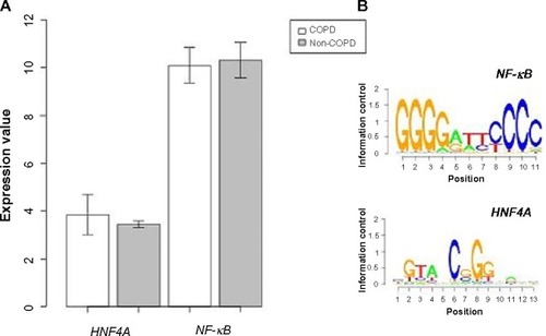 Figure 3 (A) The expression level of nuclear factor kappa-light-chain-enhancer of activated B-cells (NF-κB) and hepatocyte nuclear factor 4 alpha (HNF4A) in COPD and non-COPD. (B) Motif finding results of NF-κB and HNF4A.