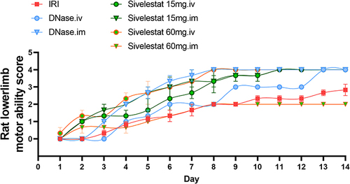 Figure 8 Hindlimb motor scores within 14 d after ischemia-reperfusion injury of hindlimb muscles in rats. Sorted by rate of recovery of motor function: DNAse (im) > sivelestat (60mg.iv) > sivelestat (15mg.iv) > sivelestat (15mg.im) > DNAse (iv) > IRI> sivelestat (60mg.im). n=3, data are expressed as mean ± standard deviation.