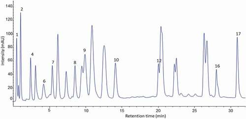 Figure 3. HPLC chromatogram of the amino acid profile of banana pulp of juice cultivar (Pisang awak) derivatised with (PITC) and UV-VIS detection at 254 nm.Figura 3. Cromatograma HPLC del perfil de aminoácidos de la pulpa de plátano del cultivar de jugo (Pisang awak) derivado con (PITC) y detección UV-VIS a 254 nm