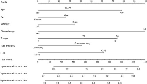 Figure 4 Nomogram for patients with resected N2 stage lung squamous carcinoma derived from the training cohort. After summing up the total score and locating it on the Total Points scale, a line drawn straight down to the 1-, 3-, 5-year Survival scale shows the survival probability at each time points.