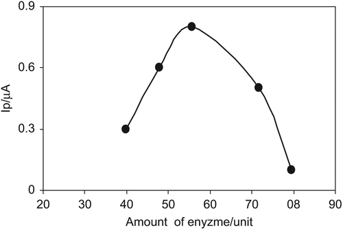 Figure 1. The effect of enzyme amount for 400 µM glucose on the biosensor response at various amounts of enzyme: background; 39.8 unit; 47.8 unit; 55.7 unit; 71.6 unit; 79.6 unit; conditions: phosphate buffer solution (50 mM, pH 7.5), applied potential + 0.9 V, 2 µL Au-np.