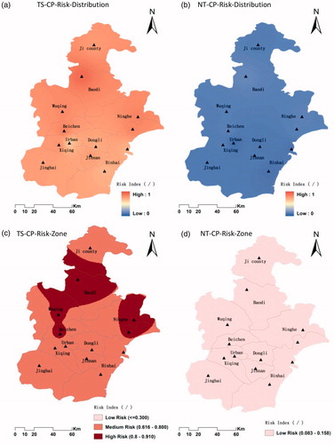 Figure 4. Comprehensive risk distribution of cucumber low temperature disaster of traditional second generation greenhouse (a), new type greenhouse (b) and the disaster risk zone for them (c for traditional second generation greenhouse and d for new type greenhouse). *The meanings of TS, NT and CP refer to Figure 2; CP-risk represents comprehensive disaster risk index.