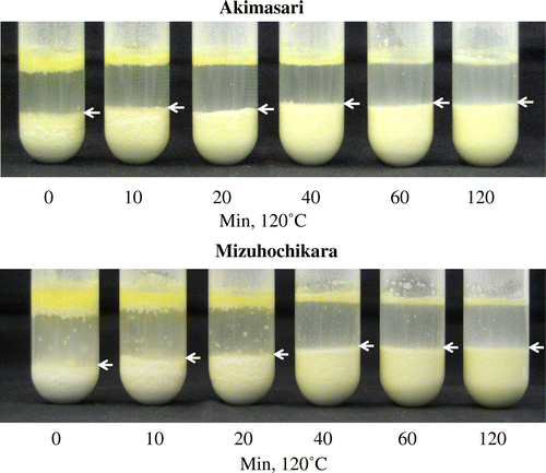 Fig. 6. Oil and dry-heated (120 °C for 0–120 min) rice flour after shaking in water.