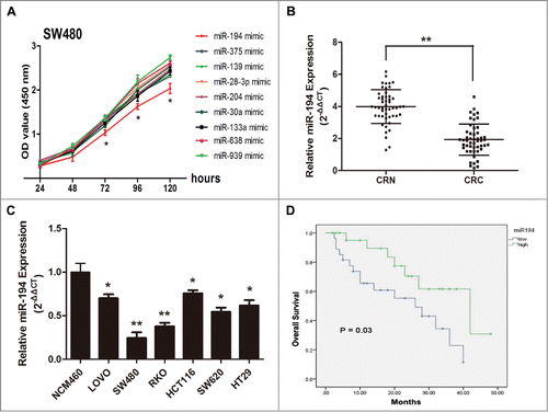 Figure 2. MiR-194 expression in colorectal tissues and cell lines and its relevance to overall survival. (A) MiR-194 exhibited greatest suppression effect on cell proliferation of 9 downregulated miRNAs. (B) The relative expression level of miR-194 in human CRC tissues (n = 50) and CRN tissues (n = 50), examined by qRT-PCR. (C) The relative miR-194 expression in the 6 CRC cell lines was significantly lower than that in normal colorectal cell line (NCM460). The average gene expression from NCM460 was appointed as 1. (D) Kaplan-Meier curves for overall survival analysis by miR-194 expression in CRC patients. P value was obtained by a log-rank test. *P<0.01.