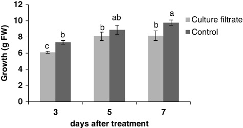 Figure 3. Time course of growth expressed as g of fresh weight in control and treated culture. All data are presented as the means ± SD with n = 3. Means with different letters are significant at P ≤ 0.05 as determined by the Duncan test.