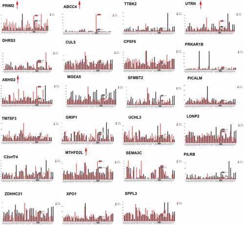 Figure 1. The expression of parent genes of top 24 differentially expressed circRNAs in GEPIA database