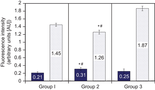 Figure 2.  ABM fluorescence intensity in lymphocytes and in plasma from “Common group” patients. Gastrointestinal cancer patients (colorectal cancer, Stage II+III + gastric cancer, Stage III); “Common group” (n = 26). Group number in figure is used to reflect from whom/when samples were isolated [i.e., Group 1: pre-surgery; Group 2: post-surgery; and Group 3: from healthy donors (control group; n = 14)]. Solid bar in each set: ABM fluorescence in lymphocytes; hatched bar in each set: ABM fluorescence in plasma. All intensity values are shown in AU (arbitrary units; mean ± SE). At P < 0.05, *value significantly different from pre-surgical value and/or #significantly different from control group value.