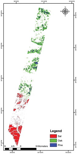Figure 7. Classified map of vegetation types using temporal NDVI database.