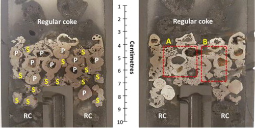 Figure 11. Two halves of the ferrous burden (pellet and sinter mixture) quenched at 1505°C (P-Pellet, S-Sinter, RC- Regular coke).