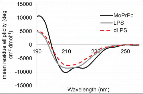 Figure 7. Both LPS and dLPS induce rapid conversion of α-helical recMoPrP23–231 to a β-sheet rich structure. CD spectra are shown for recMoPrP23–231(black line), recMoPrP23–231 plus 1:1 (g:g) LPS (gray line),and recMoPrP23–231 plus 1:1 (g:g) dLPS (red dashed line). The recMoPrP23–231 concentration is at 0.5 mg/mL in water and the LPS or dLPS was added 30 to 45 min before acquiring the spectra. The secondary structure content calculated from BeStSel of recMoPrP23–231 is 35.4% α-helix, 7.3% β-sheet, 12.3% turn and 45% other/disordered; with LPS is 33.2% β-sheet, 13.9% α-helix, 10.8% turn and 42.1 % other/disordered; and with dLPS is 34.1% β-sheet, 14% α-helix, 11.6% turn and 40.3 % other.