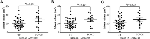 Figure 2 The mean infarct volumes in the IS patients (n=58) stratified based on corresponding genotypes of S100A8 rs3795391 (A), rs3806232 (B) and S100A12 rs2916191 (C). The data are shown as the mean ± standard error (*P < 0.05).