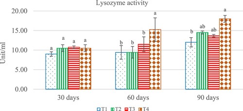 Figure 4. Effect of different levels of Andrographis paniculata extract on activities of for analysis lysozyme activity (m) in hybrid catfish, Clarias macrocephalus × C. gariepinus. Values are mean ± SD and different letters indicate difference (p < 0.05). T1 (0.00 g/kg), T2 (0.2 g k), T3 (0.4 g /kg) and T4 (0.6 g/kg).