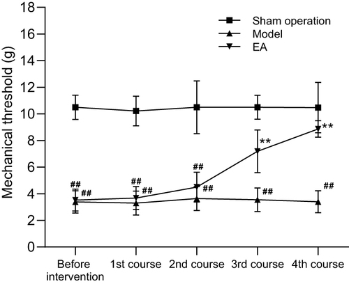 Figure 2 Mechanical pain threshold test before intervention and after each course of treatment. n=10 rat per group for each time point, Values represent mean±SD.