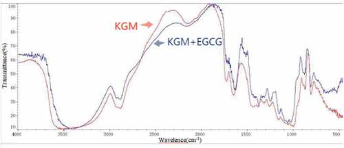 Figure 2. FTIR of KGM and KGM-EGCG microgels.Figura 2. FTIR de los microgeles KGM y KGM-EGCG.