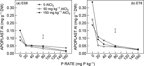 Figure 4.  Effect of Al and P on root apoplast Al of (a) ES8 and (b) ET8. The vertical bars represent the LSD (P = 0.05) for the Al × P × G interaction