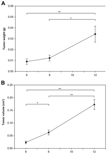 Figure 3 Mean tumor weight (A) (0.009 ± 0.003, 0.012 ± 0.003, 0.034 ± 0.007 g) and tumor volume (B) (0.02 ± 0.01, 0.06 ± 0.01, 0.17 ± 0.02 cm3) in glioma-bearing rats on days 6, 8, and 12 after tumor implantation.Notes: *P < 0.05; **P < 0.01.